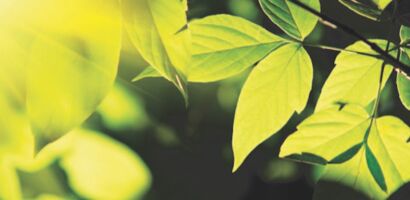 Liewen Dobaussen asbl